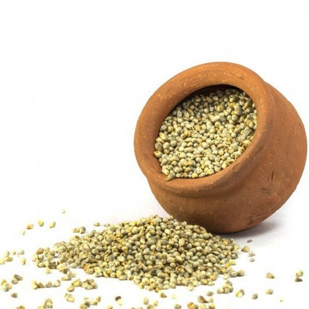 Pearl Millet Seed